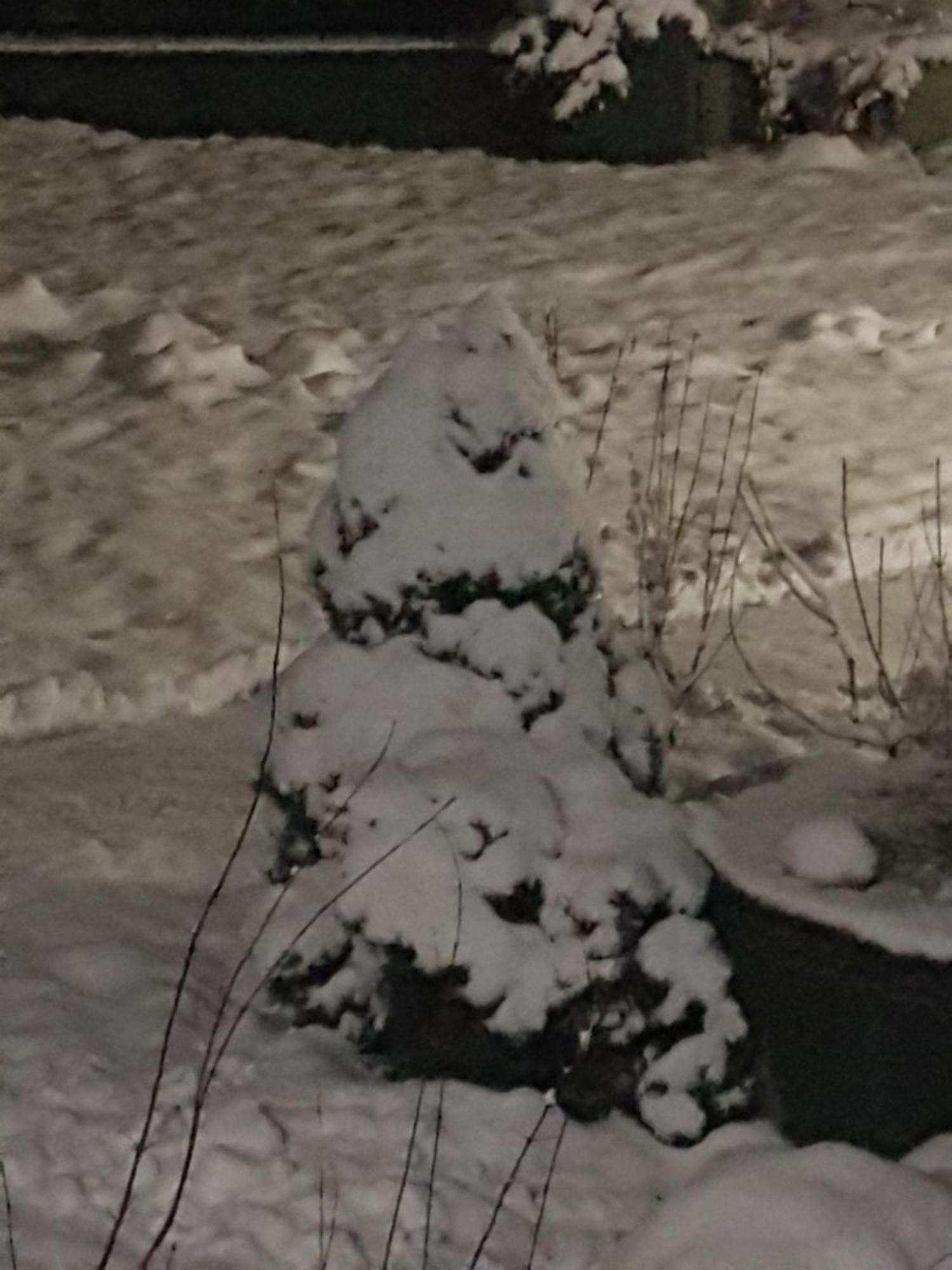 Stas -Przy Szkole Nr 3 W Skawie Skawa Cameră foto