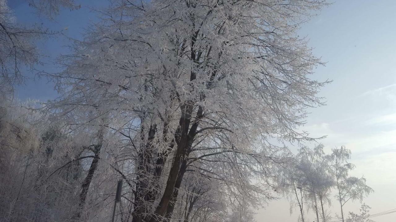 Stas -Przy Szkole Nr 3 W Skawie Skawa Exterior foto