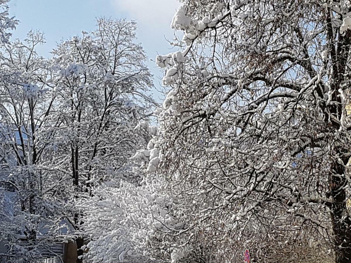 Stas -Przy Szkole Nr 3 W Skawie Skawa Exterior foto